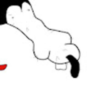 Meet your Posher, Jessie